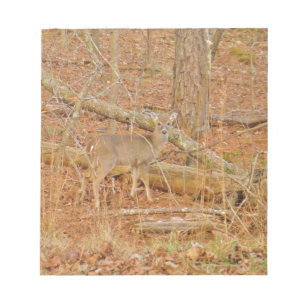 Baby Deer's eerste winter Notitieblok