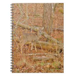 Baby Deer's eerste winter Notitieboek