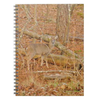 Baby Deer's eerste winter Notitieboek