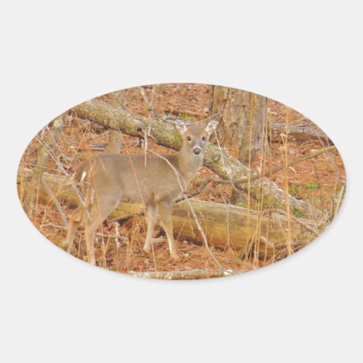 Baby Deer's eerste winter Ovale Sticker (Voorkant)