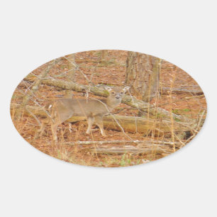 Baby Deer's eerste winter Ovale Sticker