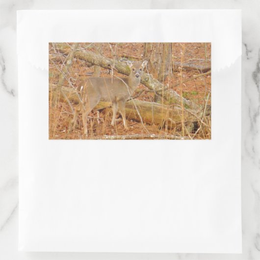 Baby Deer's eerste winter Rechthoekige Sticker (Tas)