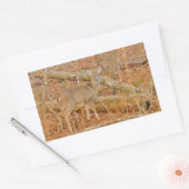 Baby Deer's eerste winter Rechthoekige Sticker (Envelop)