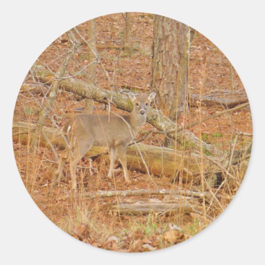 Baby Deer's eerste winter Ronde Sticker (Voorkant)