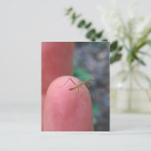 Baby die Mantis belijden op Vinger Briefkaart (Staand voorkant)