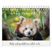 Baby dieren kalender (Hoes)