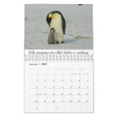 Baby dieren kalender (Jan 2027)