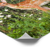 Baby Dieren Reeën Poster (Hoek)