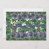 Baby Dinosaur Birthday Party! Foto Kaart (Achterkant)