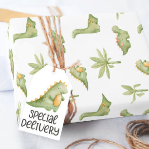 Baby Dinosaur Inpakpapier