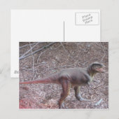 baby dinosaurus briefkaart (Voorkant / Achterkant)