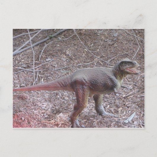 baby dinosaurus briefkaart (Voorkant)