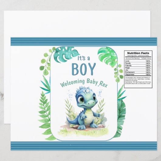 Baby Dinosaurus Groene en Blauwe Chipzak (Voorkant / Achterkant)