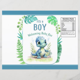 Baby Dinosaurus Groene en Blauwe Chipzak