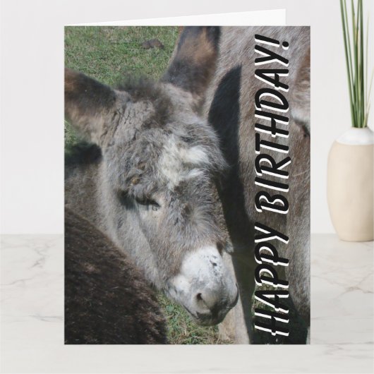 Baby Donkey Birthday Big Wenskaart Kaart (Voorkant)