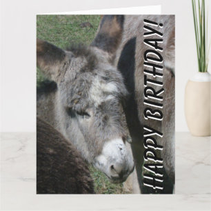 Baby Donkey Birthday Big Wenskaart Kaart