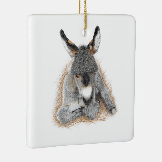 Baby Donkey Square Ornament (Rechts)