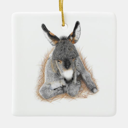 Baby Donkey Square Ornament (Voorkant)