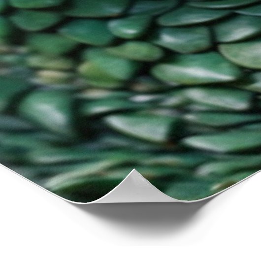 Baby Dragon Fantasy Art Poster (Hoek)