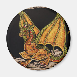 Baby Dragon-items Magneet