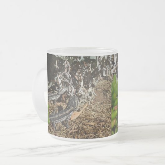 Baby Dragon Lizards, Matglas Koffiemok (Voorkant links)