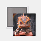 Baby Dragon Magneet (Voorkant / Achterkant)