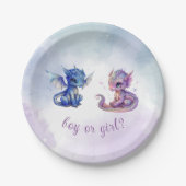 Baby Dragons Geslacht Onthullen Partij Papieren Bordje (Voorkant)