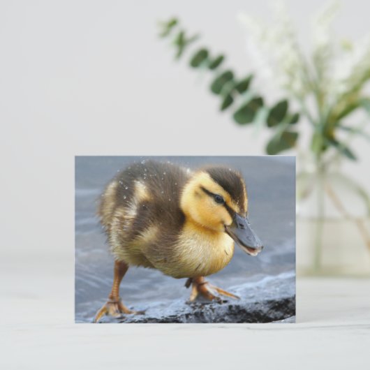 Baby Duck Briefkaart (Staand voorkant)