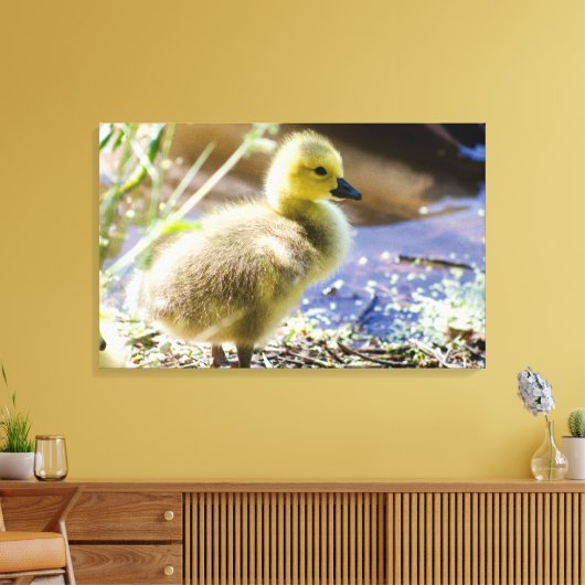 Baby Duck Canvas Afdruk (Insitu (Woonkamer))