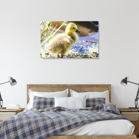 Baby Duck Canvas Afdruk (Insitu (Slaapkamer))