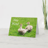 Baby Duck voor mam Birthday Kaart (Voorkant)