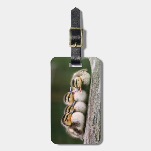 Baby Ducks Bagagelabel (Voorkant verticaal)