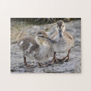 Baby Ducks Legpuzzel