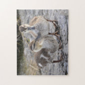 Baby Ducks Legpuzzel (Verticaal)