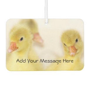 Baby Ducks Luchtverfrisser