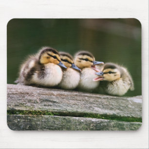 Baby Ducks Muismat
