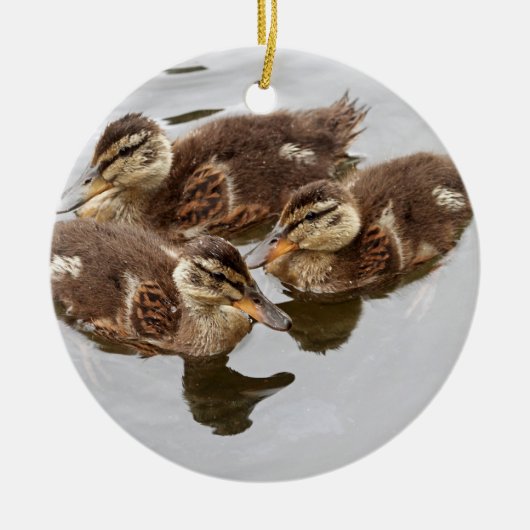 Baby Ducks Photo Keramisch Ornament (Voorkant)