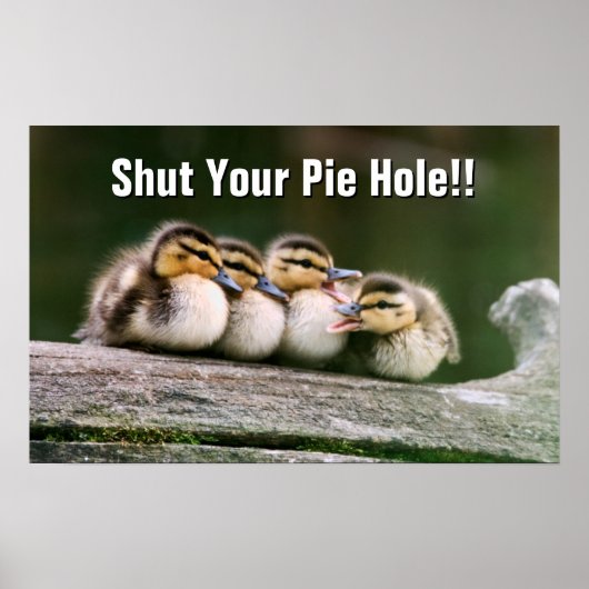 Baby Ducks Poster (Voorkant)