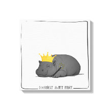 Baby Dwergnijlpaard - Goedenacht lieve prins - Can
