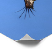 Baby Eagle of South Jersey! Poster (Hoek)