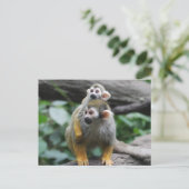 Baby eekhoorn aap Briefkaart (Staand voorkant)