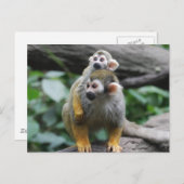 Baby eekhoorn aap Briefkaart (Voorkant / Achterkant)