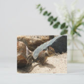 Baby eekhoorn briefkaart (Staand voorkant)