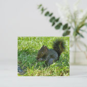 Baby eekhoorn briefkaart (Staand voorkant)