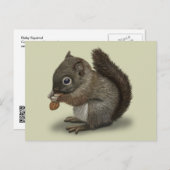 Baby eekhoorn briefkaart (Voorkant / Achterkant)