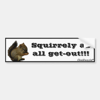 Baby eekhoorn bumpersticker