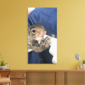Baby eekhoorn canvas afdruk (Insitu (Woonkamer))