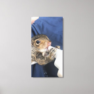 Baby eekhoorn canvas afdruk