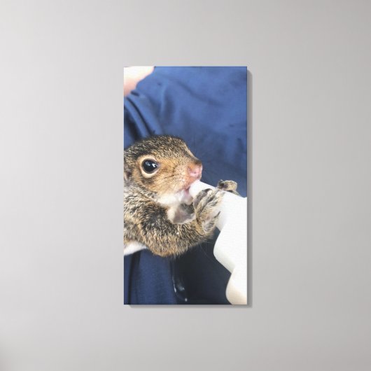 Baby eekhoorn canvas afdruk (Voorkant)