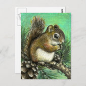 Baby eekhoorn en kegels briefkaart (Voorkant / Achterkant)